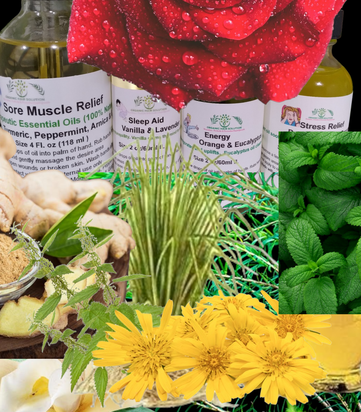 ENERGY WITH ORANGE & EUCALYPTUS - Organic Hair Solution, LLC