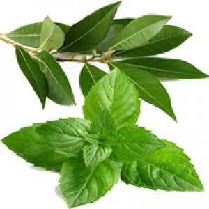 STRESS RELIEF AROMATHERAPY CANDLE-with Eucalyptus-Peppermint & Tea Tree (8 oz) - Organic Hair Solution, LLC