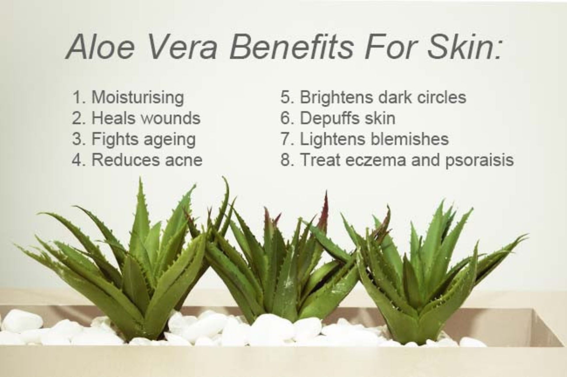 Organic Shampoo (MEN) With Aloe vera-Vitamin E- Rose Hips-Hemp-Castor Oil-Tea Tree- Argan- Macadamia- Coconut & Jojoba Extract - Organic Hair Solution, LLC