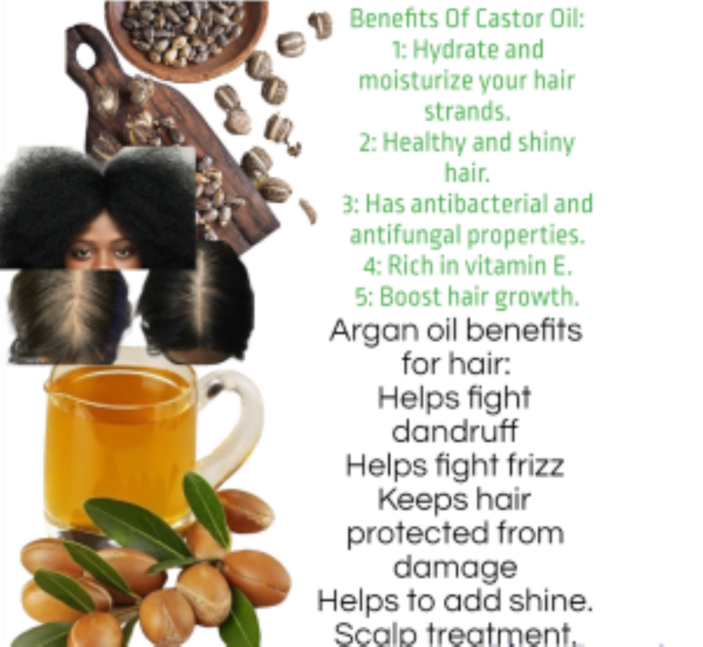 Organic Shampoo-With Aloe vera-Vitamin E- Rose Hips-Hemp-Castor Oil-Tea Tree- Argan- Macadamia- Coconut & Jojoba Extract (33.8 OZ) Women & Children - Organic Hair Solution, LLC