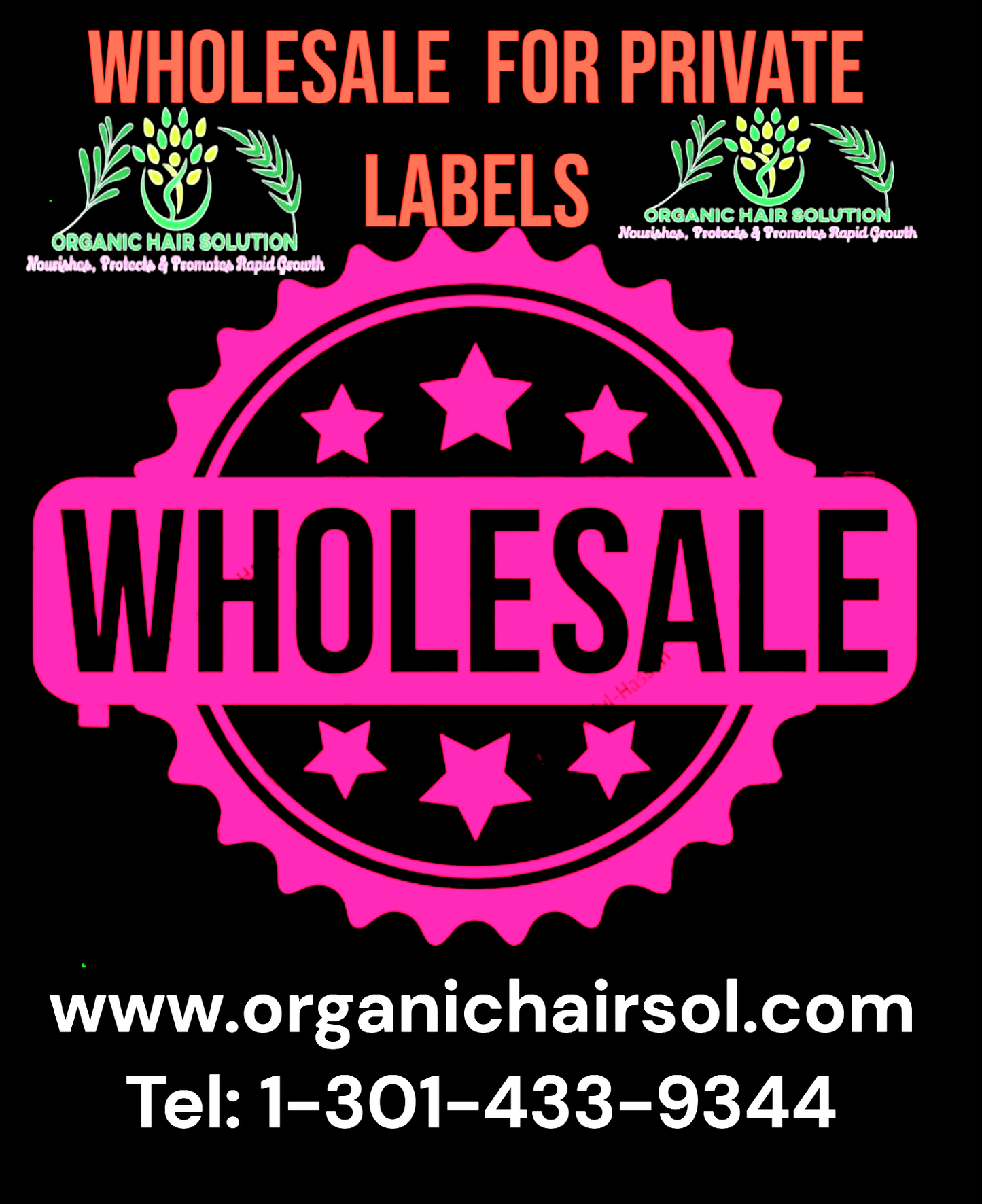 Wholesale-Organic Chebe  Hair Growth Oil- Formulated With African Chebe Powder & 25plus mixing oils 4 oz unit (Pack 24) - Organic Hair Solution, LLC