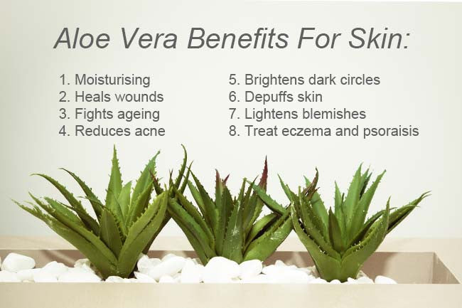 Nourishing Body Oil- (Lily Lilac Scent) Vegan Skin Moisturizer- Anti Aging- Bath- Massage - Natural Plant-Based Oil-Moisturizes Your Skin - Organic Hair Solution, LLC
